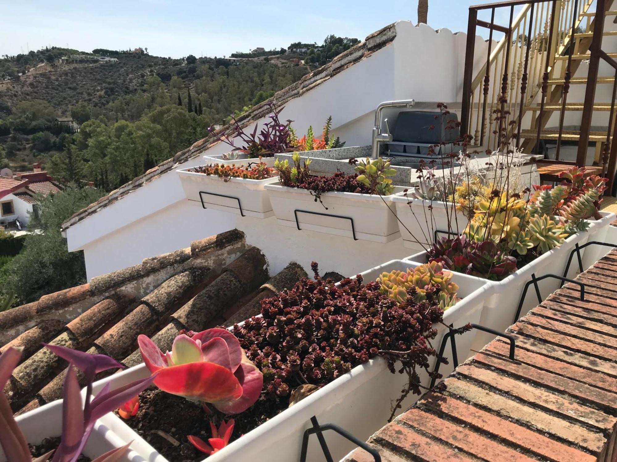 Studio Views Apartment, Cortijo Fruitful Hills Málaga Extérieur photo